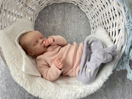 Soms griezelig echt: Reborn-poppen steeds populairder