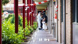 Verdachte (29) opgepakt na dood van 51-jarige man in Epe