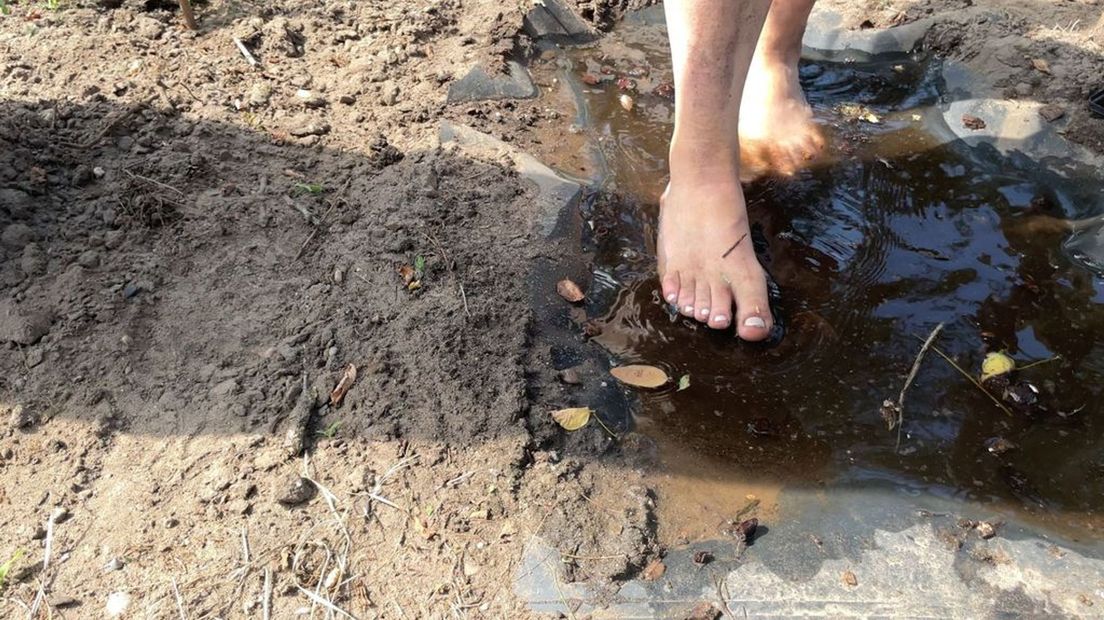 Kijken, ruiken, proeven, voelen en horen, het kan allemaal in deze tuin