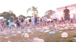 Gratis festivals: 'Je moet wel gek zijn om het te regelen'