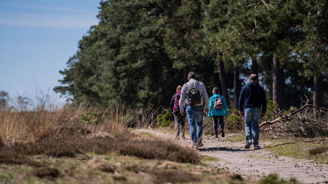 Wandelaars op de heide.