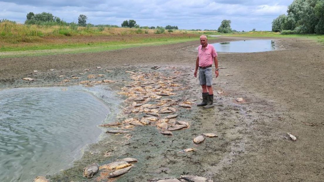 Ben van Zonsbeek bij de dode vissen in Dreumel.