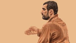 Eis in hoger beroep: 10 jaar cel voor doodslag op Els Slurink