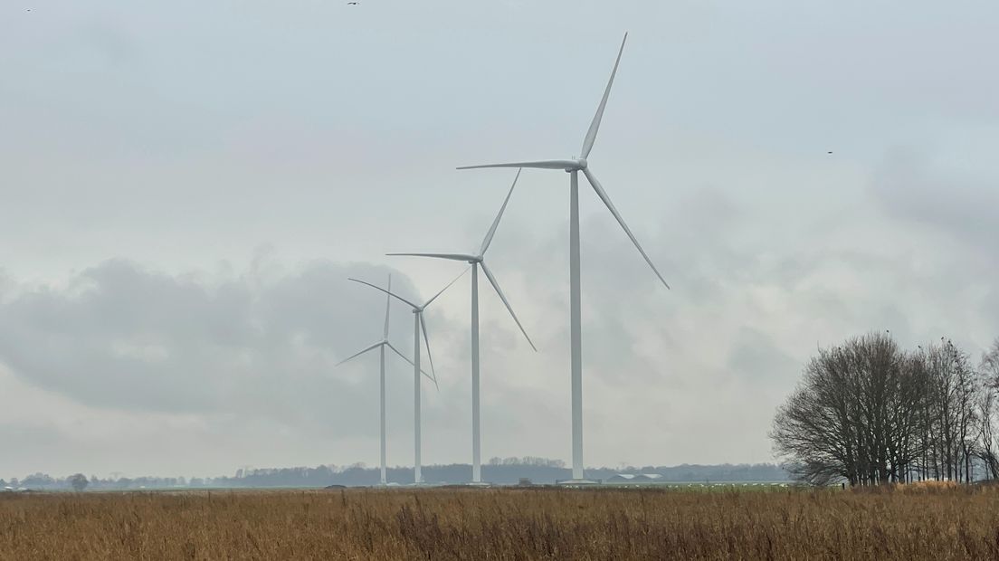 Vier windmolens ten zuiden van Meeden