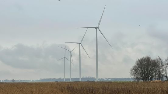 Kieskompas: Groningen is miniversie van Nederland, behalve als het over windmolens gaat