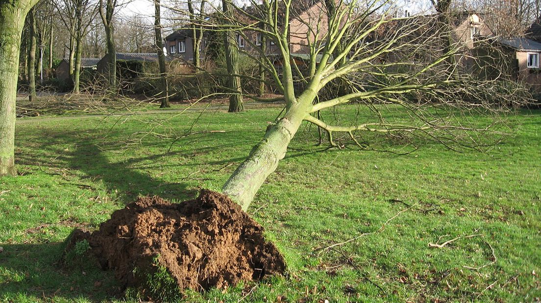 Zeer zware windstoten verwacht (archieffoto)