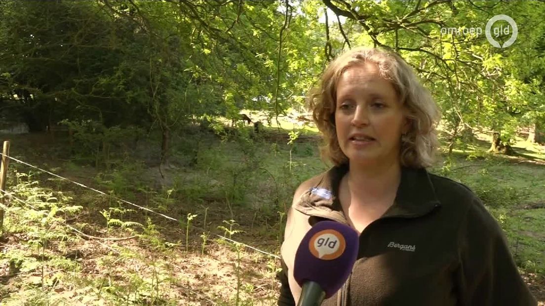 GLD Nieuws