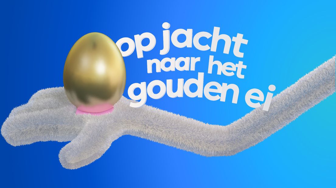 Zoek het ei