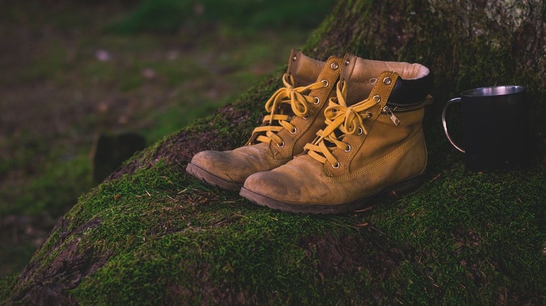 Wandelen met BuitenGewoon Bron: Omroep Gelderland