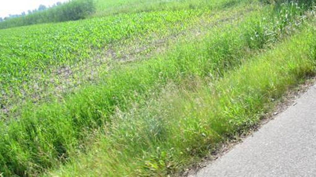 Fietspad