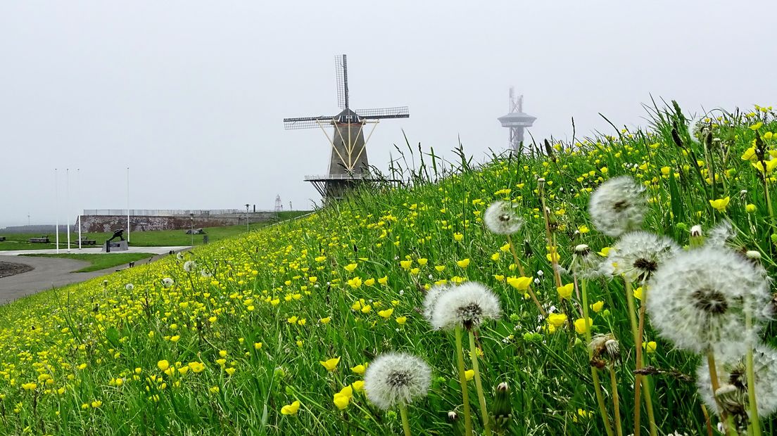 Oranjemolen in Vlissingen