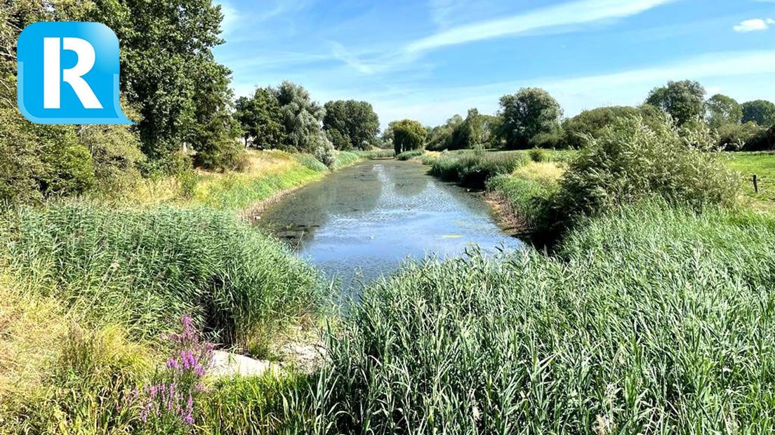 Kanovijver en De Laak