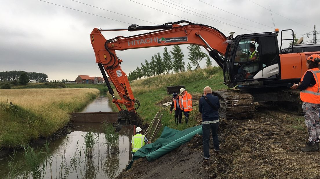oeverpalen van gras bij Middelburg