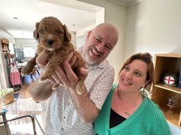 Odette zet 14 labradoodles op de wereld: 'Een record!"