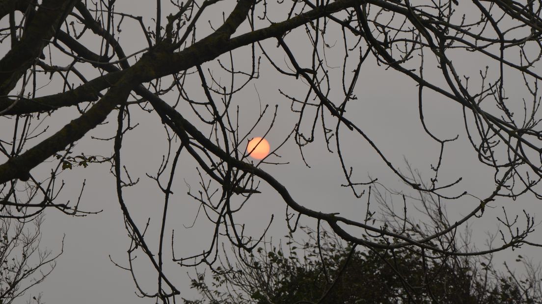 Rode zon in Zoutelande