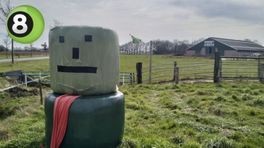 Protestvlaggen verdwijnen uit straatbeeld in Achterhoek, maar niet overal