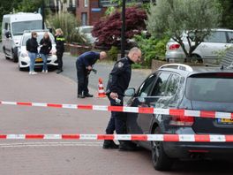 Twee mannen schieten bij stelen van auto in Wateringse Veld, daders gevlucht