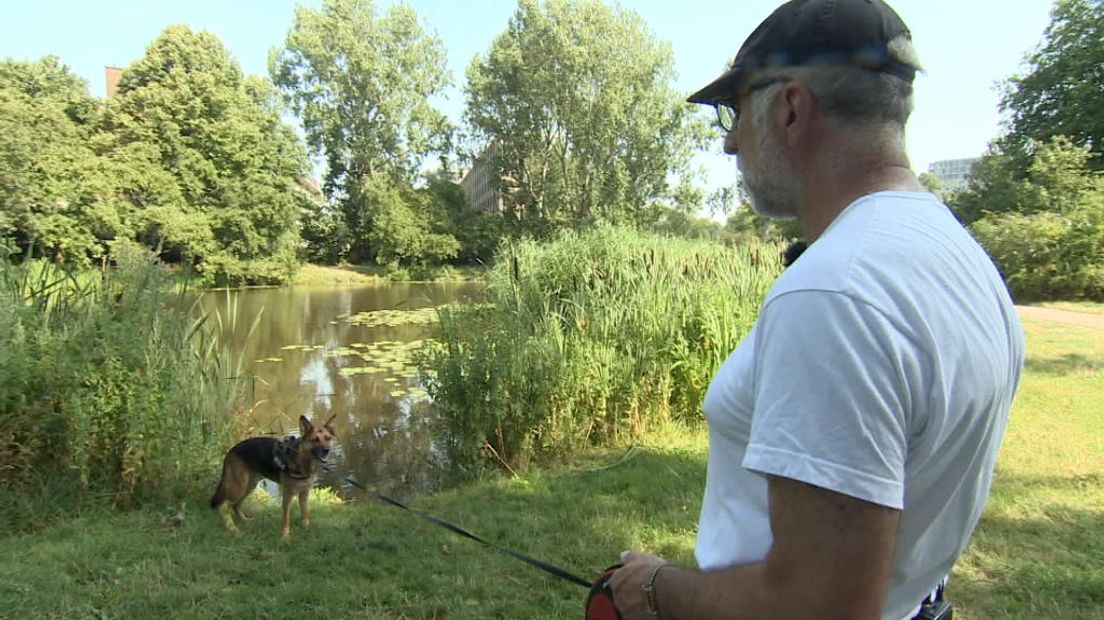 TV West Nieuws