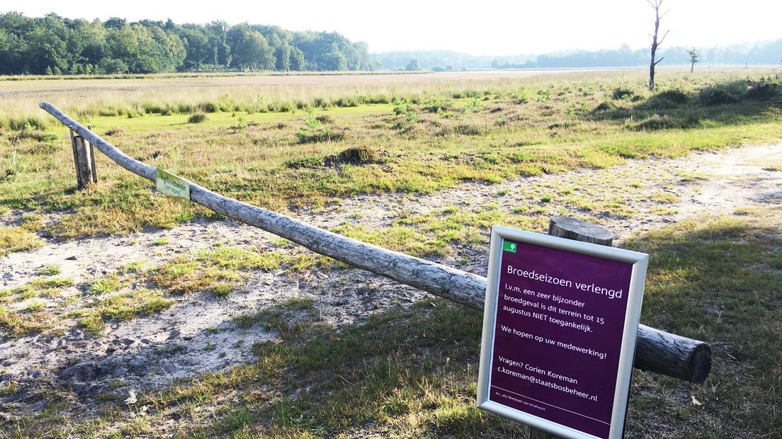 Een bord moet de Grauwe Klauwier beschermen