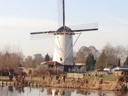 Kleinste molen van Schiedam is weer open en zoekt nieuwe vrijwilligers om draaiende te blijven