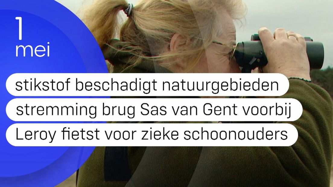 Zeeland Nu