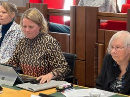 In de discussie over windturbines op de Isselt domineert de emotie
