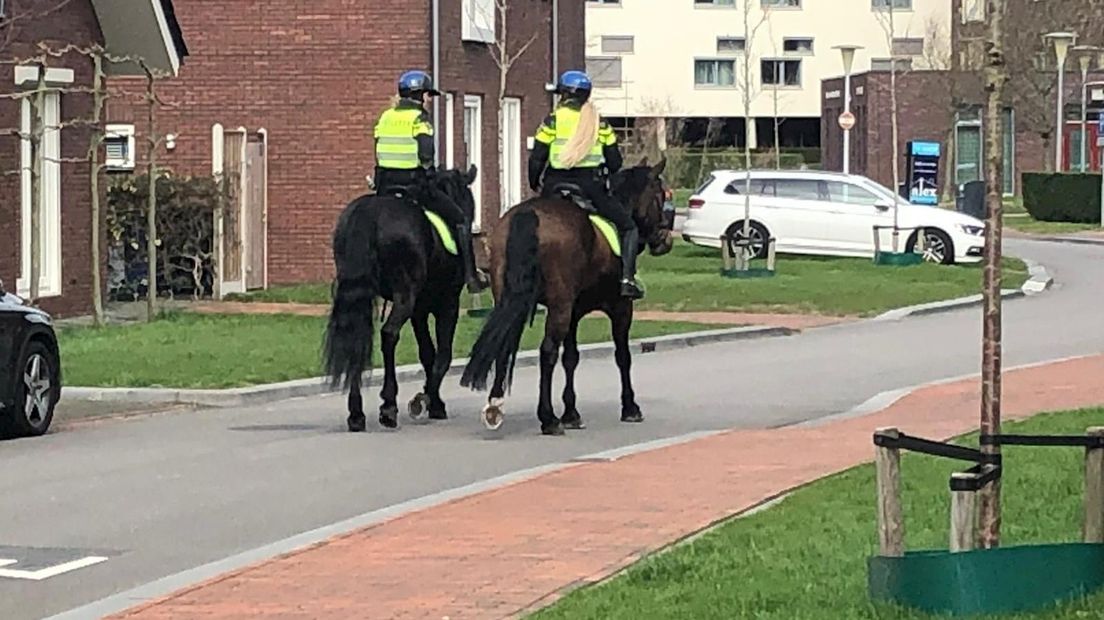 Politie te paard in de wijk Stadshagen in Zwolle