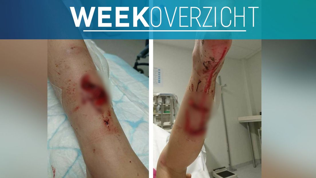 Het weekoverzicht van week 20