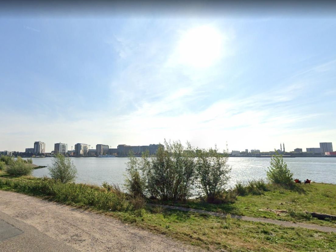 Op deze plek moet de nieuwe oeververbinding in Rotterdam ongeveer komen