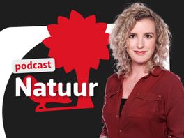 Podcast UKiest: Verstikt de natuur?