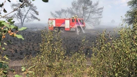 Neerslagtekort loopt op, zo voorkom je natuurbranden