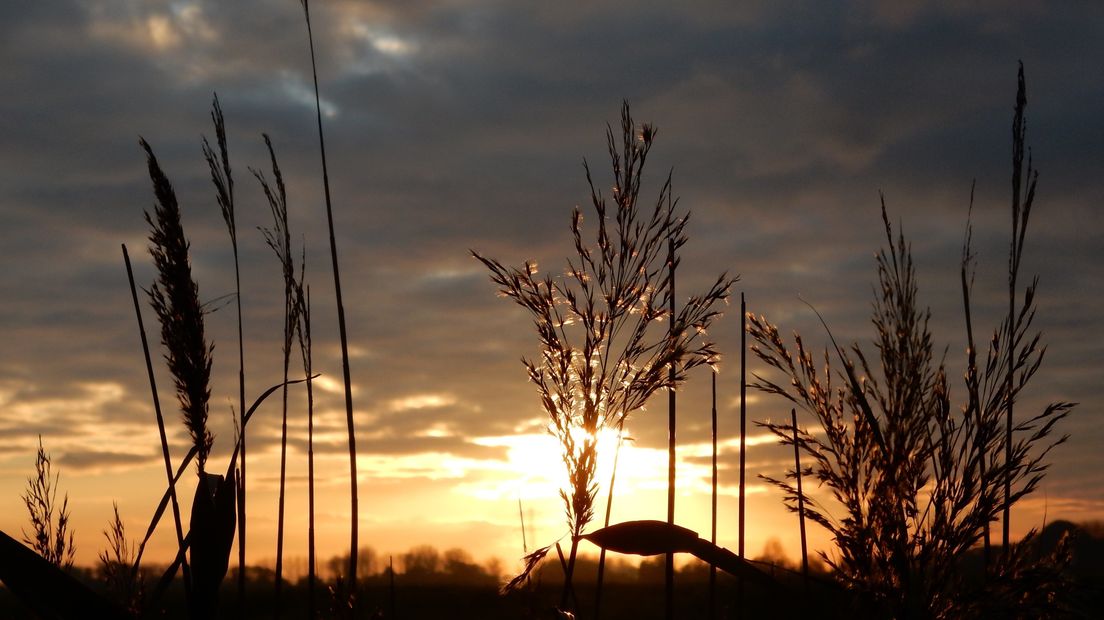 Zonsondergang in IJzendijke