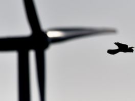 Drie Overijsselse gemeenten mogen langer beslissen over locatie voor windmolens