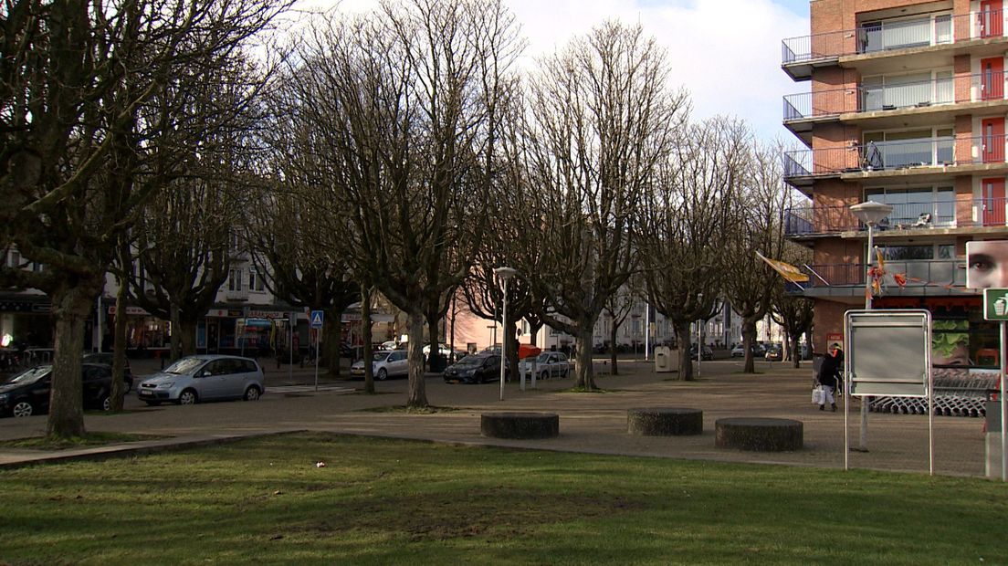 Het Heeswijkplein in Den Haag