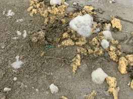 Rijkswaterstaat maakt strand Schiermonnikoog vandaag vrij van paraffine