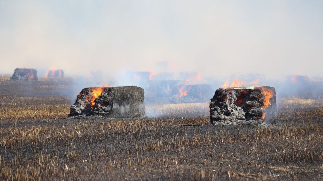 Brand legt stuk landbouwgrond Axel in as