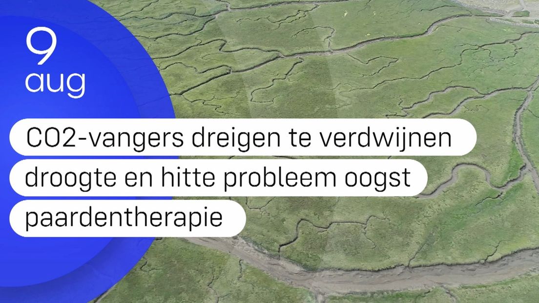 Zeeland Nu