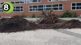 Leerlingen kieperen schoolplein vol met poep