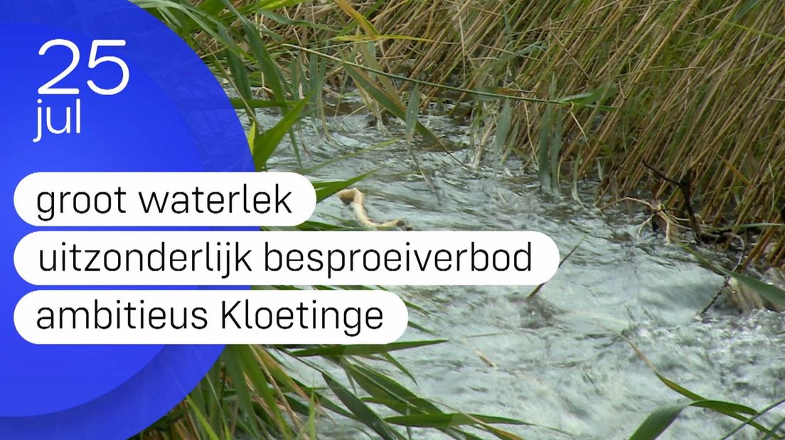Zeeland Nu