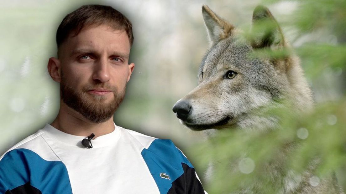 Berkay (26) werd achtervolgd door drie wolven: 'Dit kon fataal aflopen'