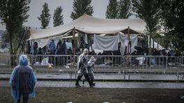 Inspectie wilde opnieuw tenten in Ter Apel, Schuiling weigerde vanwege beeldvorming