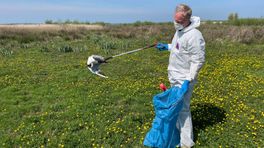 Natuurmonumenten pleit bij vogelgriep voor zelfde behandeling als pluimveehouders