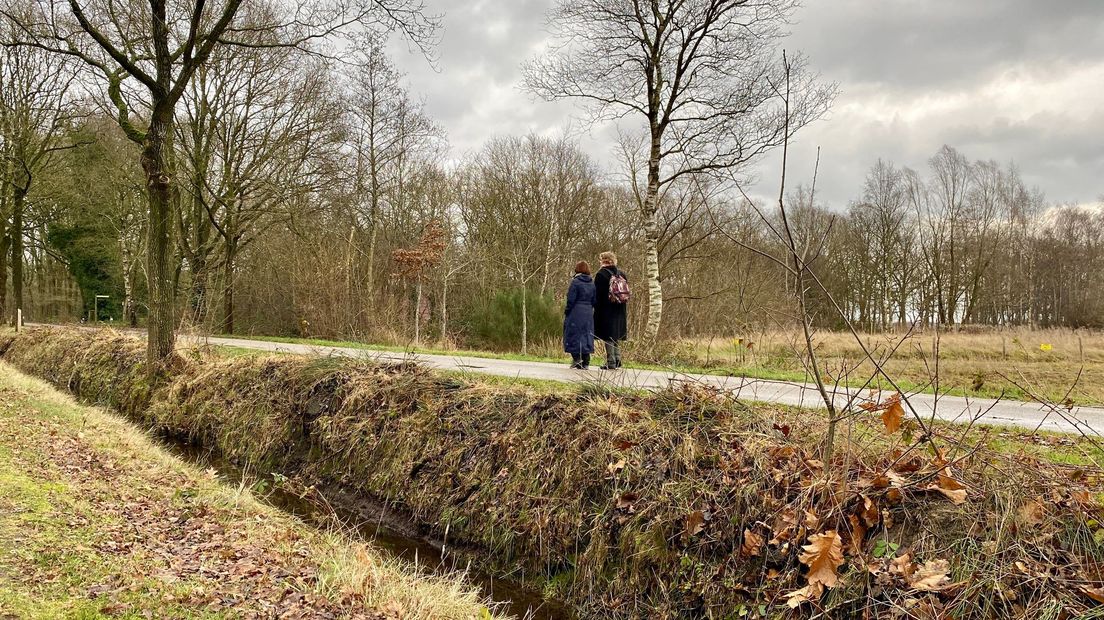 Drukte op het Dwingelderveld