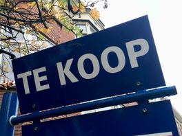 Den Haag kent grootste verschil in huizenprijzen tussen wijken, verschil kan oplopen tot 400 procent