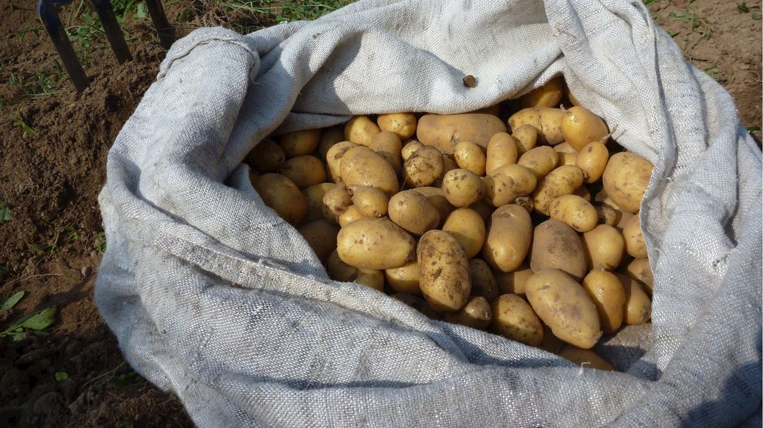 Een zak met aardappels