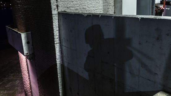 Inbreker trekt letterlijk rookgordijn op in horecapand in Stad