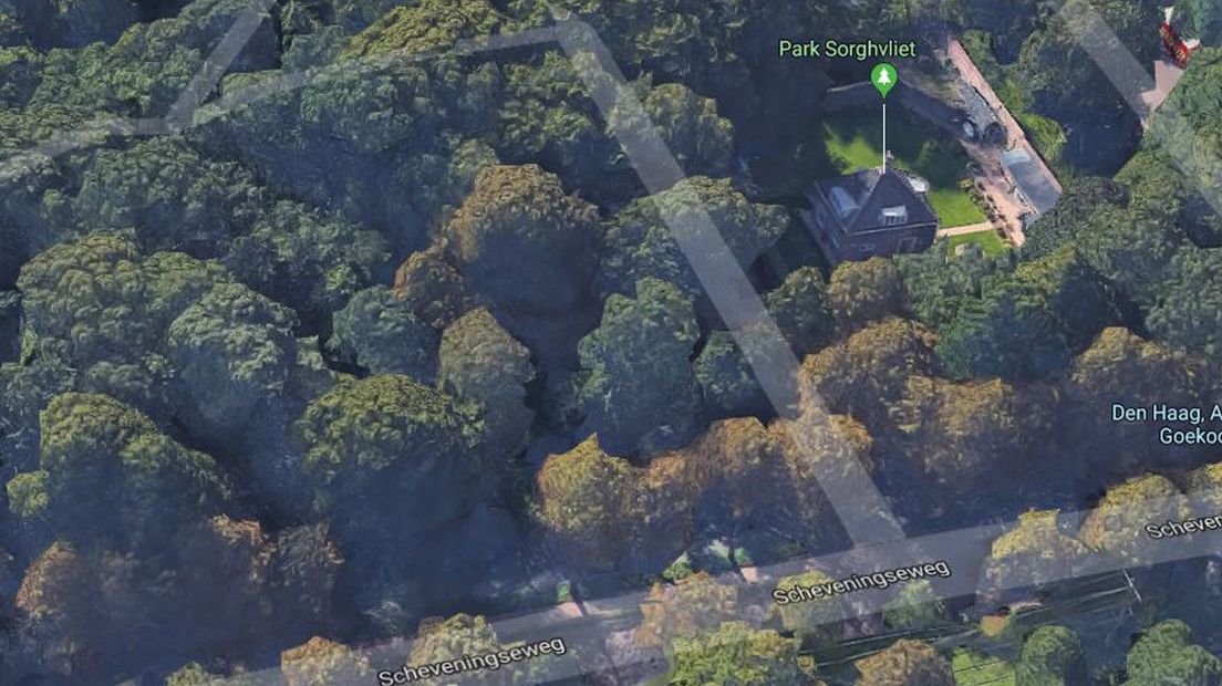 Park Sorghvliet | Beeld Google Maps