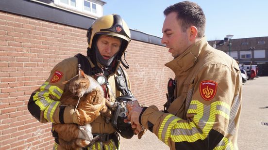 Brandweer redt katten bij woningbrand in Bunschoten