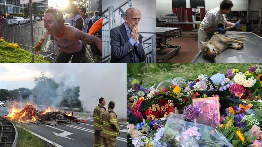 Dit zijn de mooiste foto's van 2022.