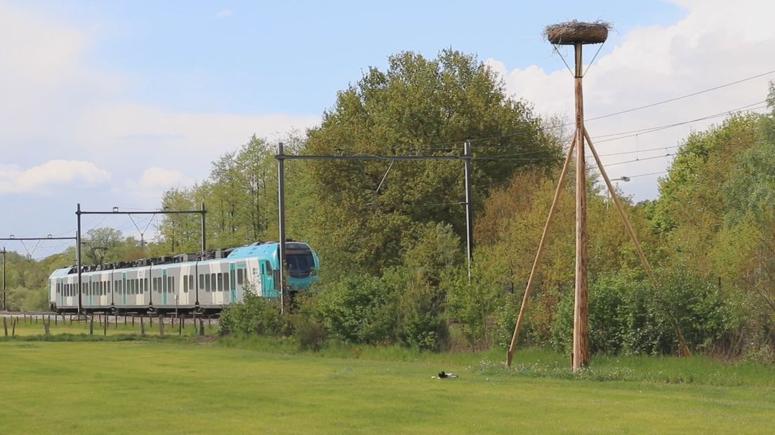 Getuige incident doodgeschoten ooievaar: "Belachelijk, geen woorden voor"